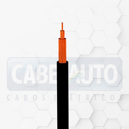 Cabo auto R2